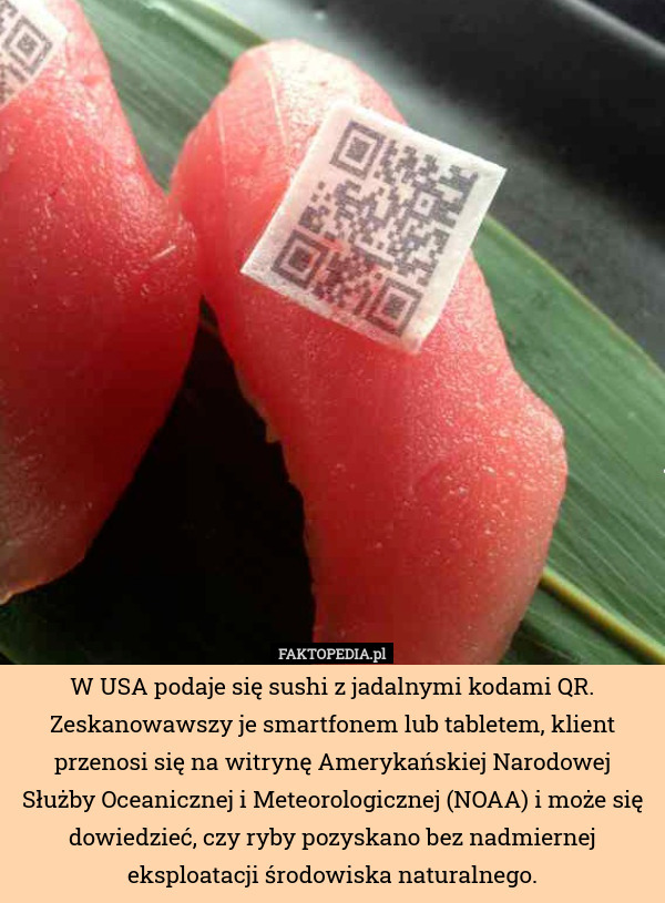 W USA podaje się sushi z jadalnymi kodami QR.
Zeskanowawszy je smartfonem lub tabletem, klient przenosi się na witrynę Amerykańskiej Narodowej Służby Oceanicznej i Meteorologicznej (NOAA) i może się dowiedzieć, czy ryby pozyskano bez nadmiernej eksploatacji środowiska naturalnego. 