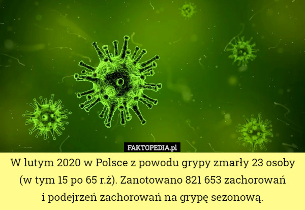 W lutym 2020 w Polsce z powodu grypy zmarły 23 osoby (w tym 15 po 65 r.ż). Zanotowano 821 653 zachorowań
 i podejrzeń zachorowań na grypę sezonową. 