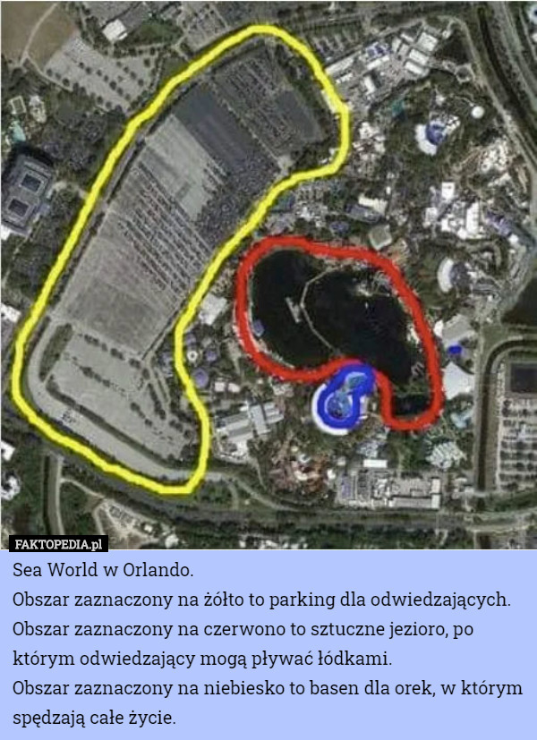 Sea World w Orlando.
Obszar zaznaczony na żółto to parking dla odwiedzających.
Obszar zaznaczony na czerwono to sztuczne jezioro, po którym odwiedzający mogą pływać łódkami.
Obszar zaznaczony na niebiesko to basen dla orek, w którym spędzają całe życie. 