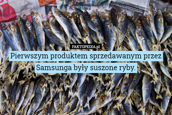 Pierwszym produktem sprzedawanym przez Samsunga były suszone ryby. 