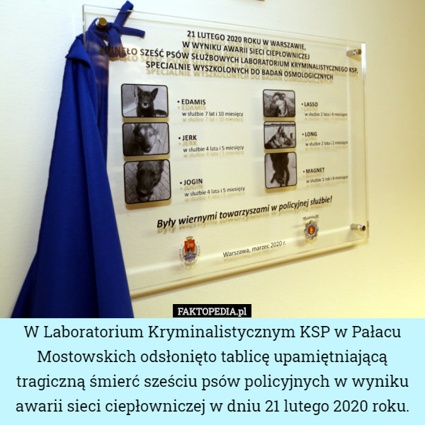 W Laboratorium Kryminalistycznym KSP w Pałacu Mostowskich odsłonięto tablicę upamiętniającą tragiczną śmierć sześciu psów policyjnych w wyniku awarii sieci ciepłowniczej w dniu 21 lutego 2020 roku. 