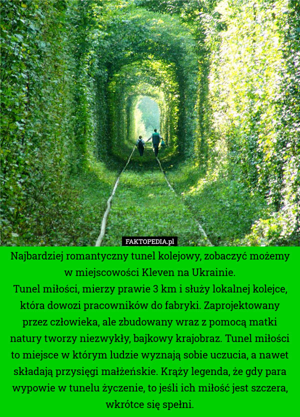 Najbardziej romantyczny tunel kolejowy, zobaczyć możemy w miejscowości Kleven na Ukrainie.
Tunel miłości, mierzy prawie 3 km i służy lokalnej kolejce, która dowozi pracowników do fabryki. Zaprojektowany przez człowieka, ale zbudowany wraz z pomocą matki natury tworzy niezwykły, bajkowy krajobraz. Tunel miłości to miejsce w którym ludzie wyznają sobie uczucia, a nawet składają przysięgi małżeńskie. Krąży legenda, że gdy para wypowie w tunelu życzenie, to jeśli ich miłość jest szczera, wkrótce się spełni. 