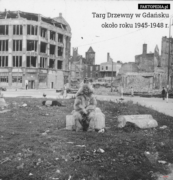 Targ Drzewny w Gdańsku
około roku 1945-1948 r. 