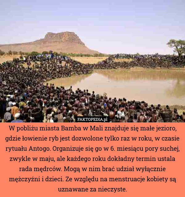 W pobliżu miasta Bamba w Mali znajduje się małe jezioro, gdzie łowienie ryb jest dozwolone tylko raz w roku, w czasie rytuału Antogo. Organizuje się go w 6. miesiącu pory suchej, zwykle w maju, ale każdego roku dokładny termin ustala rada mędrców. Mogą w nim brać udział wyłącznie mężczyźni i dzieci. Ze względu na menstruacje kobiety są uznawane za nieczyste. 