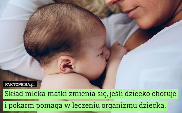 Skład mleka matki zmienia się, jeśli dziecko choruje i pokarm pomaga w leczeniu organizmu dziecka. 