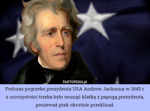 Podczas pogrzebu prezydenta USA Andrew Jacksona w 1845 r. z uroczystości trzeba było usunąć klatkę z papugą prezydenta, ponieważ ptak okrutnie przeklinał. 