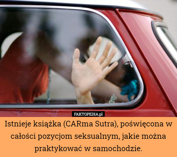 Istnieje książka (CARma Sutra), poświęcona w całości pozycjom seksualnym, jakie można praktykować w samochodzie. 