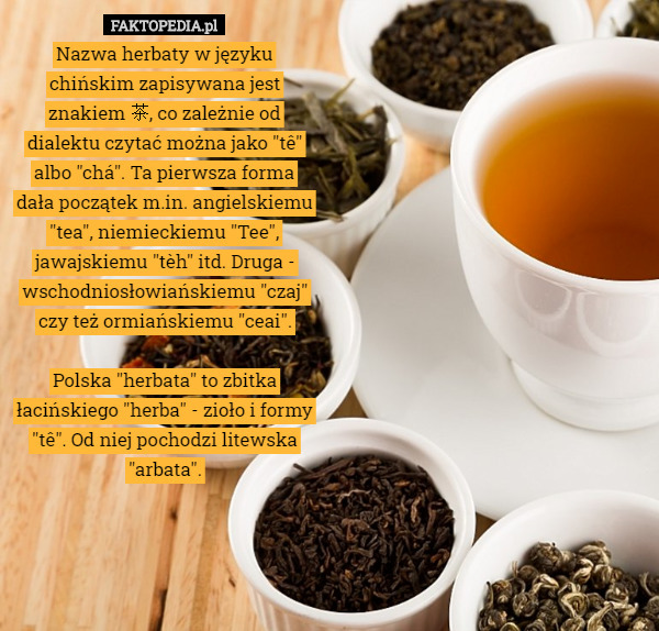 Nazwa herbaty w języku chińskim zapisywana jest znakiem 茶, co zależnie od dialektu czytać można jako "tê" albo "chá". Ta pierwsza forma dała początek m.in. angielskiemu "tea", niemieckiemu "Tee", jawajskiemu "tèh" itd. Druga - wschodniosłowiańskiemu "czaj" czy też ormiańskiemu "ceai".

Polska "herbata" to zbitka łacińskiego "herba" - zioło i formy "tê". Od niej pochodzi litewska "arbata". 