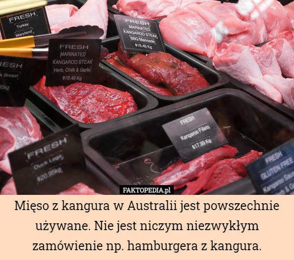 Mięso z kangura w Australii jest powszechnie używane. Nie jest niczym niezwykłym zamówienie np. hamburgera z kangura. 