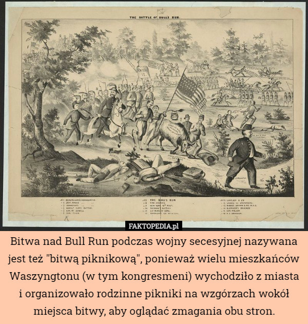 Bitwa nad Bull Run podczas wojny secesyjnej nazywana jest też "bitwą piknikową", ponieważ wielu mieszkańców Waszyngtonu (w tym kongresmeni) wychodziło z miasta i organizowało rodzinne pikniki na wzgórzach wokół miejsca bitwy, aby oglądać zmagania obu stron. 