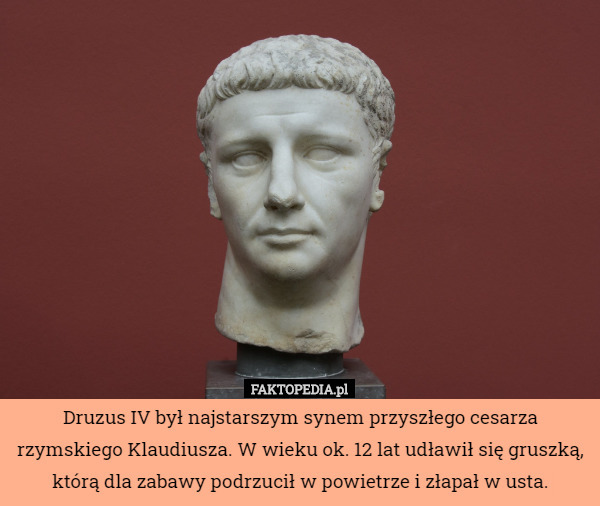 Druzus IV był najstarszym synem przyszłego cesarza rzymskiego Klaudiusza. W wieku ok. 12 lat udławił się gruszką, którą dla zabawy podrzucił w powietrze i złapał w usta. 