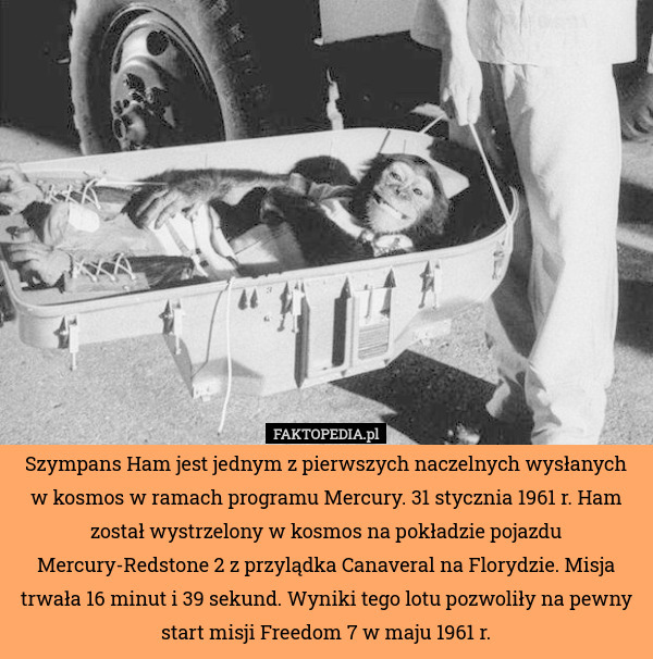 Szympans Ham jest jednym z pierwszych naczelnych wysłanych w kosmos w ramach programu Mercury. 31 stycznia 1961 r. Ham został wystrzelony w kosmos na pokładzie pojazdu Mercury-Redstone 2 z przylądka Canaveral na Florydzie. Misja trwała 16 minut i 39 sekund. Wyniki tego lotu pozwoliły na pewny start misji Freedom 7 w maju 1961 r. 
