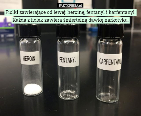 Fiolki zawierające od lewej: heroinę, fentanyl i karfentanyl. Każda z fiolek zawiera śmiertelną dawkę narkotyku. 