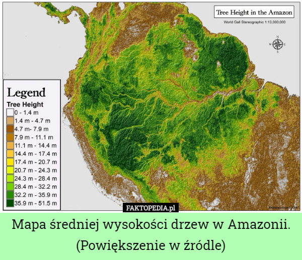 Mapa średniej wysokości drzew w Amazonii.
(Powiększenie w źródle) 