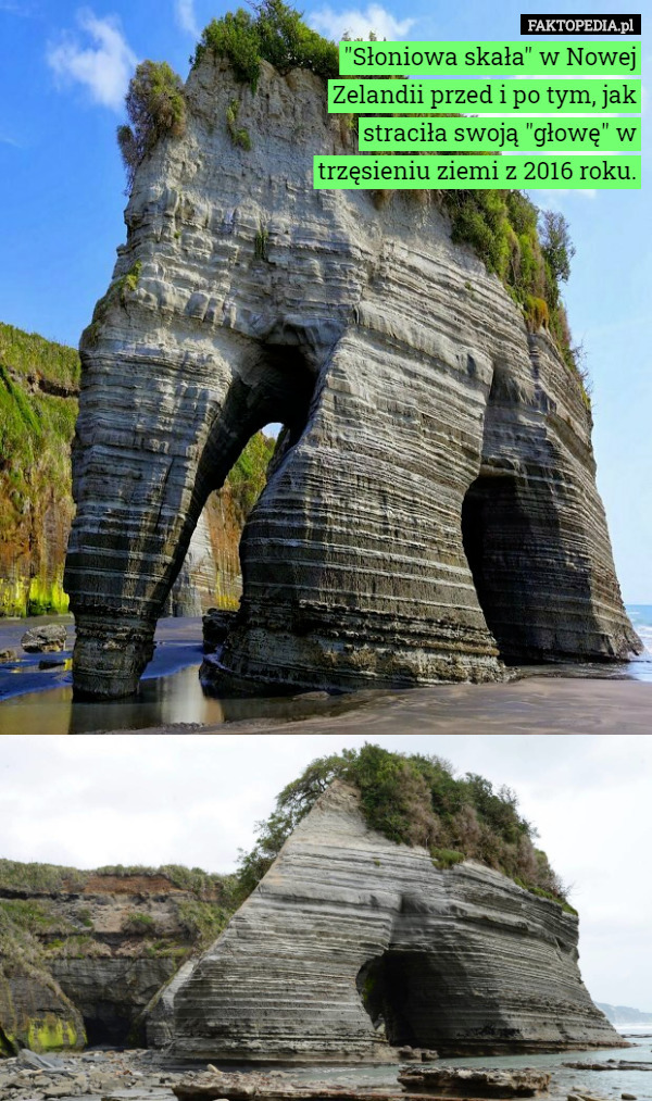 "Słoniowa skała" w Nowej Zelandii przed i po tym, jak straciła swoją "głowę" w trzęsieniu ziemi z 2016 roku. 