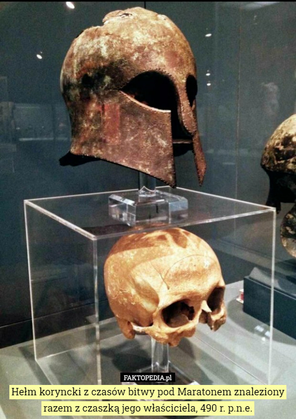 Hełm koryncki z czasów bitwy pod Maratonem znaleziony razem z czaszką jego właściciela, 490 r. p.n.e. 