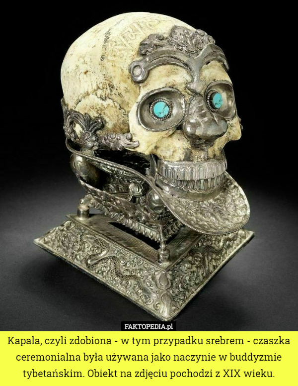 Kapala, czyli zdobiona - w tym przypadku srebrem - czaszka ceremonialna była używana jako naczynie w buddyzmie tybetańskim. Obiekt na zdjęciu pochodzi z XIX wieku. 