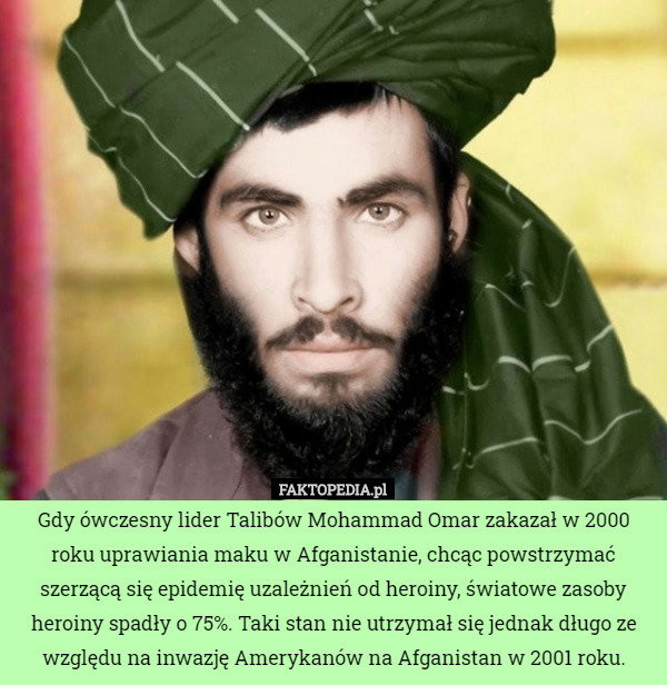 Gdy ówczesny lider Talibów Mohammad Omar zakazał w 2000 roku uprawiania maku w Afganistanie, chcąc powstrzymać szerzącą się epidemię uzależnień od heroiny, światowe zasoby heroiny spadły o 75%. Taki stan nie utrzymał się jednak długo ze względu na inwazję Amerykanów na Afganistan w 2001 roku. 