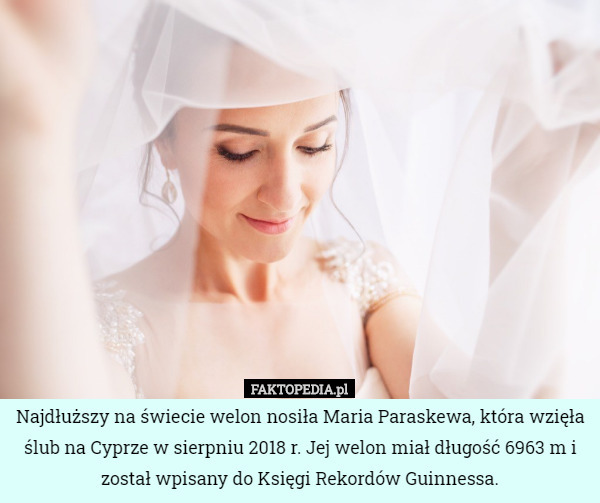 Najdłuższy na świecie welon nosiła Maria Paraskewa, która wzięła ślub na Cyprze w sierpniu 2018 r. Jej welon miał długość 6963 m i został wpisany do Księgi Rekordów Guinnessa. 