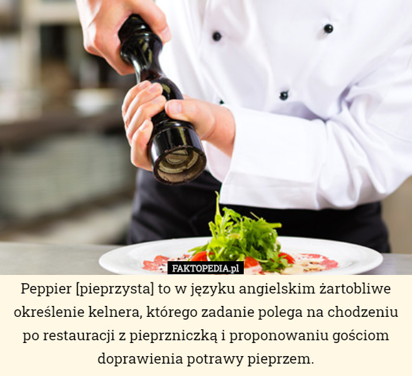 Peppier [pieprzysta] to w języku angielskim żartobliwe określenie kelnera, którego zadanie polega na chodzeniu po restauracji z pieprzniczką i proponowaniu gościom doprawienia potrawy pieprzem. 