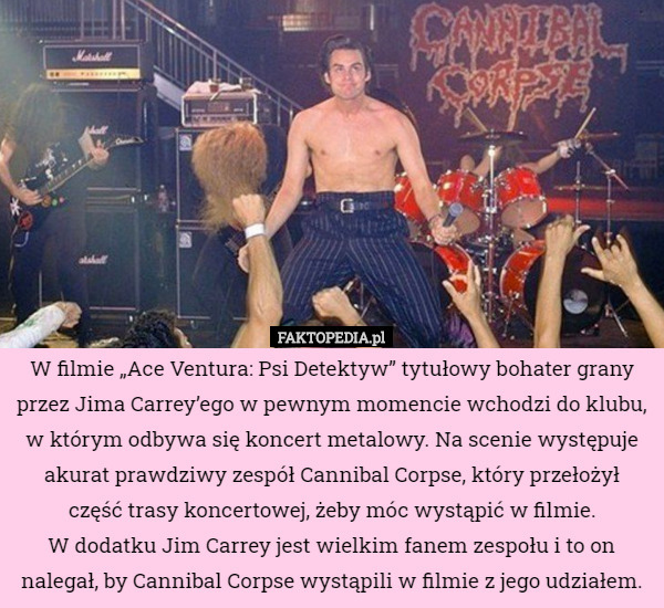 W filmie „Ace Ventura: Psi Detektyw” tytułowy bohater grany przez Jima Carrey’ego w pewnym momencie wchodzi do klubu, w którym odbywa się koncert metalowy. Na scenie występuje akurat prawdziwy zespół Cannibal Corpse, który przełożył część trasy koncertowej, żeby móc wystąpić w filmie.
W dodatku Jim Carrey jest wielkim fanem zespołu i to on nalegał, by Cannibal Corpse wystąpili w filmie z jego udziałem. 