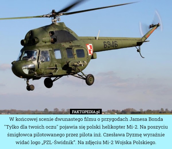 W końcowej scenie dwunastego filmu o przygodach Jamesa Bonda "Tylko dla twoich oczu" pojawia się polski helikopter Mi-2. Na poszyciu śmigłowca pilotowanego przez pilota inż. Czesława Dyzmę wyraźnie widać logo „PZL-Świdnik”. Na zdjęciu Mi-2 Wojska Polskiego. 