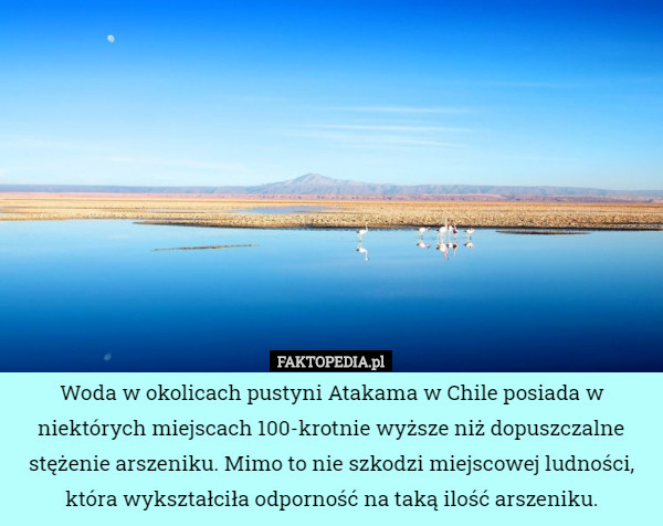 Woda w okolicach pustyni Atakama w Chile posiada w niektórych miejscach 100-krotnie wyższe niż dopuszczalne stężenie arszeniku. Mimo to nie szkodzi miejscowej ludności, która wykształciła odporność na taką ilość arszeniku. 