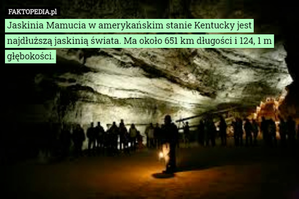 Jaskinia Mamucia w amerykańskim stanie Kentucky jest najdłuższą jaskinią świata. Ma około 651 km długości i 124, 1 m głębokości. 