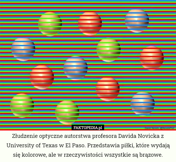 Złudzenie optyczne autorstwa profesora Davida Novicka z University of Texas w El Paso. Przedstawia piłki, które wydają się kolorowe, ale w rzeczywistości wszystkie są brązowe. 