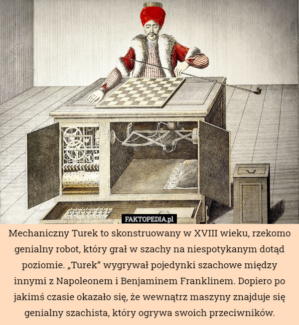 Mechaniczny Turek to skonstruowany w XVIII wieku, rzekomo genialny robot, który grał w szachy na niespotykanym dotąd poziomie. „Turek” wygrywał pojedynki szachowe między innymi z Napoleonem i Benjaminem Franklinem. Dopiero po jakimś czasie okazało się, że wewnątrz maszyny znajduje się genialny szachista, który ogrywa swoich przeciwników. 