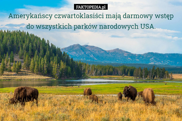 Amerykańscy czwartoklasiści mają darmowy wstęp do wszystkich parków narodowych USA. 