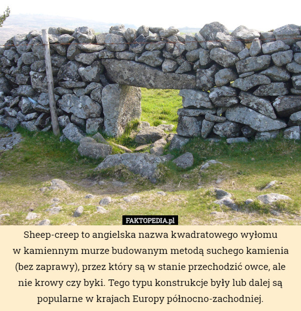 Sheep-creep to angielska nazwa kwadratowego wyłomu
w kamiennym murze budowanym metodą suchego kamienia (bez zaprawy), przez który są w stanie przechodzić owce, ale nie krowy czy byki. Tego typu konstrukcje były lub dalej są popularne w krajach Europy północno-zachodniej. 