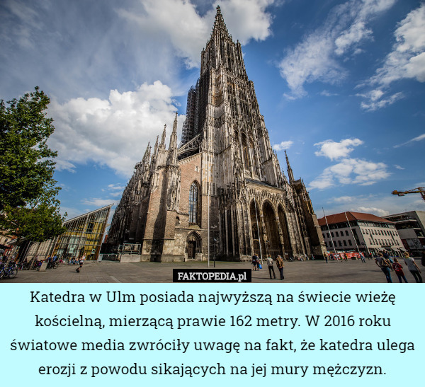 Katedra w Ulm posiada najwyższą na świecie wieżę kościelną, mierzącą prawie 162 metry. W 2016 roku światowe media zwróciły uwagę na fakt, że katedra ulega erozji z powodu sikających na jej mury mężczyzn. 