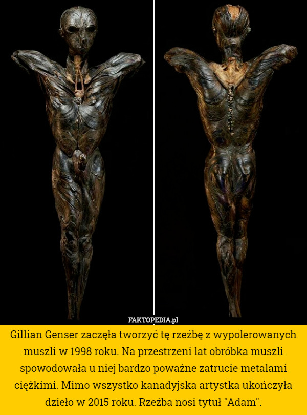 Gillian Genser zaczęła tworzyć tę rzeźbę z wypolerowanych muszli w 1998 roku. Na przestrzeni lat obróbka muszli spowodowała u niej bardzo poważne zatrucie metalami ciężkimi. Mimo wszystko kanadyjska artystka ukończyła dzieło w 2015 roku. Rzeźba nosi tytuł "Adam". 