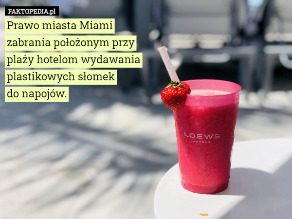 Prawo miasta Miami zabrania położonym przy plaży hotelom wydawania plastikowych słomek
do napojów. 