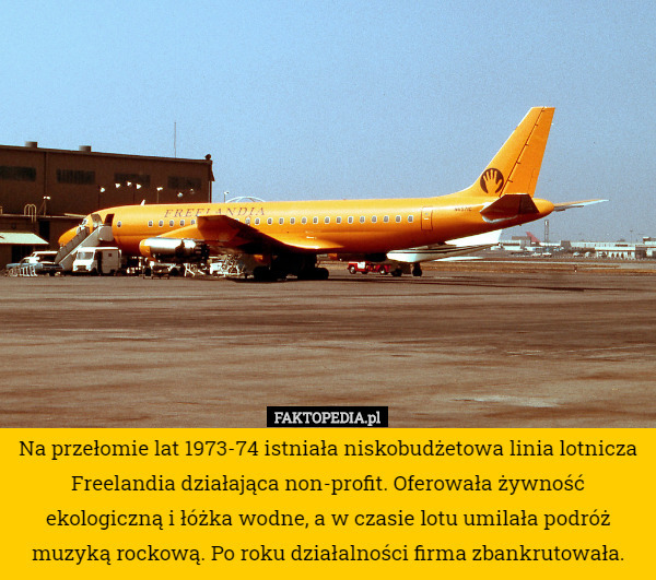 Na przełomie lat 1973-74 istniała niskobudżetowa linia lotnicza Freelandia działająca non-profit. Oferowała żywność ekologiczną i łóżka wodne, a w czasie lotu umilała podróż muzyką rockową. Po roku działalności firma zbankrutowała. 