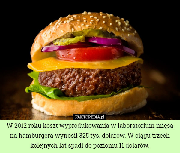 W 2012 roku koszt wyprodukowania w laboratorium mięsa na hamburgera wynosił 325 tys. dolarów. W ciągu trzech kolejnych lat spadł do poziomu 11 dolarów. 