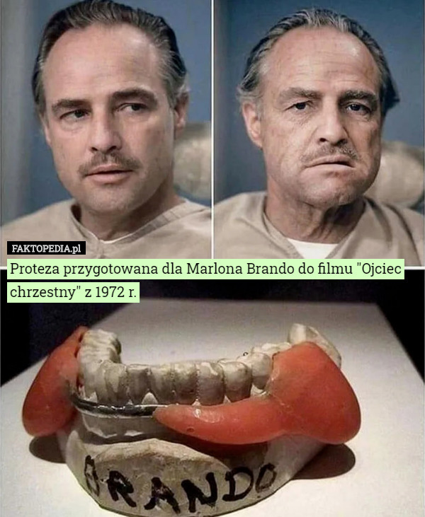 Proteza przygotowana dla Marlona Brando do filmu "Ojciec chrzestny" z 1972 r. 