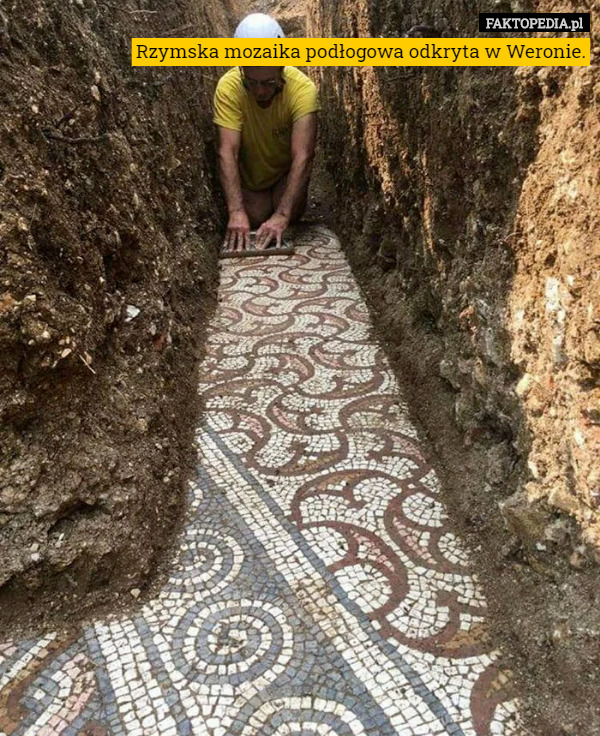 Rzymska mozaika podłogowa odkryta w Weronie. 