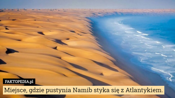 Miejsce, gdzie pustynia Namib styka się z Atlantykiem. 