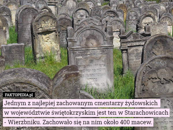 Jednym z najlepiej zachowanym cmentarzy żydowskich 
w województwie świętokrzyskim jest ten w Starachowicach - Wierzbniku. Zachowało się na nim około 400 macew. 