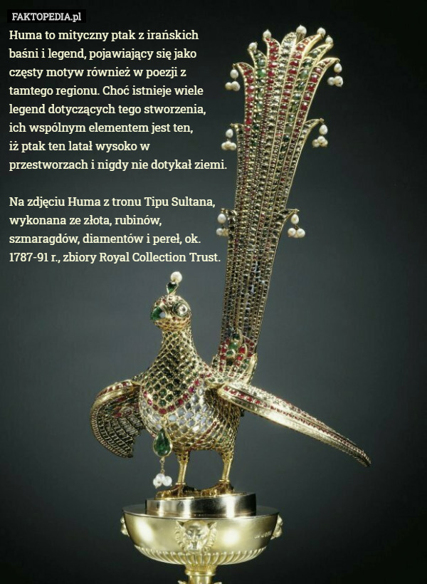 Huma to mityczny ptak z irańskich baśni i legend, pojawiający się jako częsty motyw również w poezji z tamtego regionu. Choć istnieje wiele legend dotyczących tego stworzenia,
 ich wspólnym elementem jest ten,
 iż ptak ten latał wysoko w przestworzach i nigdy nie dotykał ziemi.

Na zdjęciu Huma z tronu Tipu Sultana, wykonana ze złota, rubinów, szmaragdów, diamentów i pereł, ok. 1787-91 r., zbiory Royal Collection Trust. 