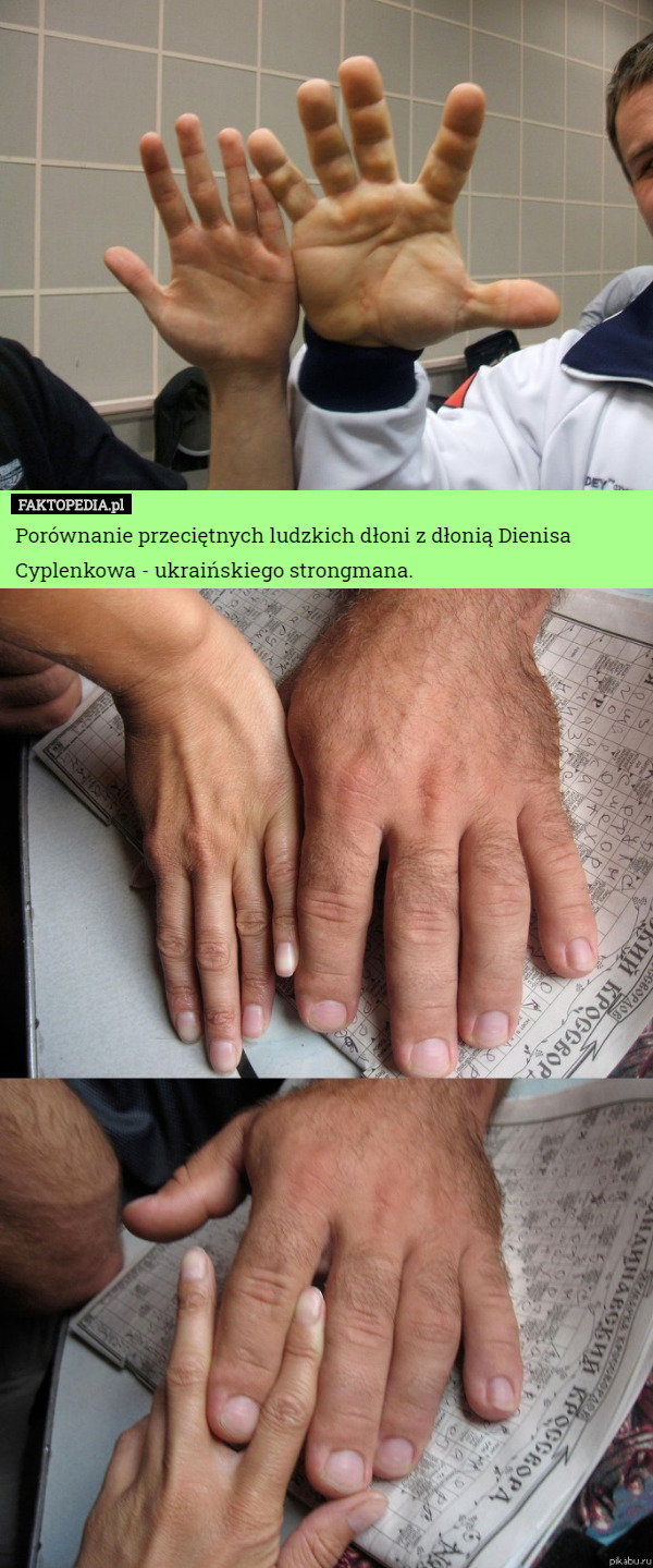 Porównanie przeciętnych ludzkich dłoni z dłonią Dienisa Cyplenkowa - ukraińskiego strongmana. 