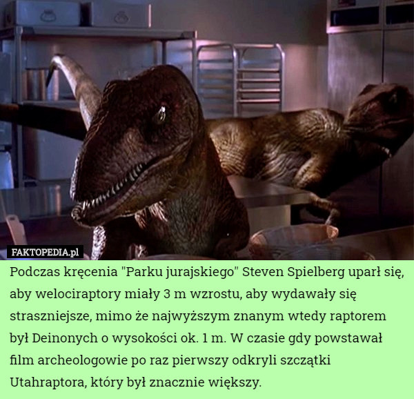 Podczas kręcenia "Parku jurajskiego" Steven Spielberg uparł się, aby welociraptory miały 3 m wzrostu, aby wydawały się straszniejsze, mimo że najwyższym znanym wtedy raptorem był Deinonych o wysokości ok. 1 m. W czasie gdy powstawał film archeologowie po raz pierwszy odkryli szczątki Utahraptora, który był znacznie większy. 