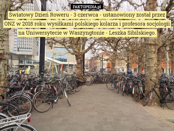 Światowy Dzień Roweru - 3 czerwca - ustanowiony został przez ONZ w 2018 roku wysiłkami polskiego kolarza i profesora socjologii na Uniwersytecie w Waszyngtonie - Leszka Sibilskiego. 