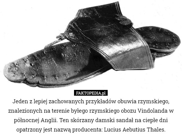 Jeden z lepiej zachowanych przykładów obuwia rzymskiego, znalezionych na terenie byłego rzymskiego obozu Vindolanda w północnej Anglii. Ten skórzany damski sandał na ciepłe dni opatrzony jest nazwą producenta: Lucius Aebutius Thales. 