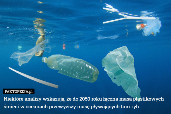 Niektóre analizy wskazują, że do 2050 roku łączna masa plastikowych śmieci w oceanach przewyższy masę pływających tam ryb. 