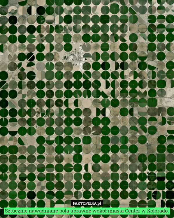 Sztucznie nawadniane pola uprawne wokół miasta Center w Kolorado. 