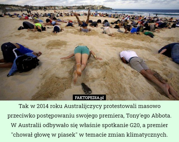 Tak w 2014 roku Australijczycy protestowali masowo przeciwko postępowaniu swojego premiera, Tony'ego Abbota. W Australii odbywało się właśnie spotkanie G20, a premier "chował głowę w piasek" w temacie zmian klimatycznych. 