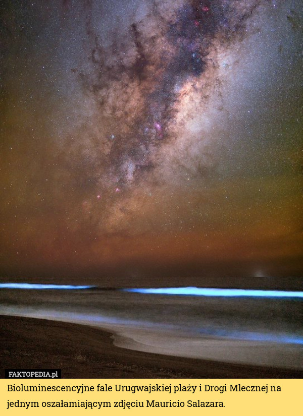 Bioluminescencyjne fale Urugwajskiej plaży i Drogi Mlecznej na jednym oszałamiającym zdjęciu Mauricio Salazara. 